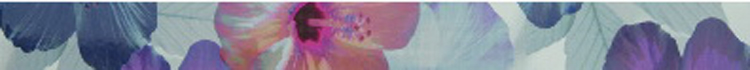 7009 Cen Azul Gris Malva Hibiscu 7009 Cen Azul Gris Malva Hibiscu