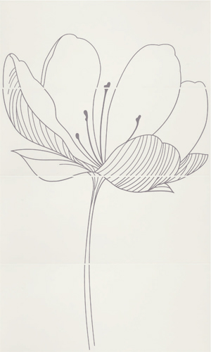 255 D0 R D DREAM A PLUME 255 D0 R D DREAM A PLUME