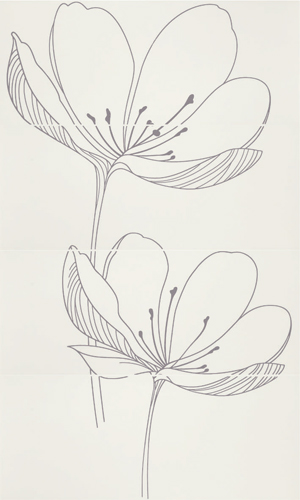 255 D0 R E DREAM B PLUME 255 D0 R E DREAM B PLUME