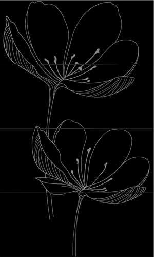 255 D9 R E DREAM B BLACK 255 D9 R E DREAM B BLACK