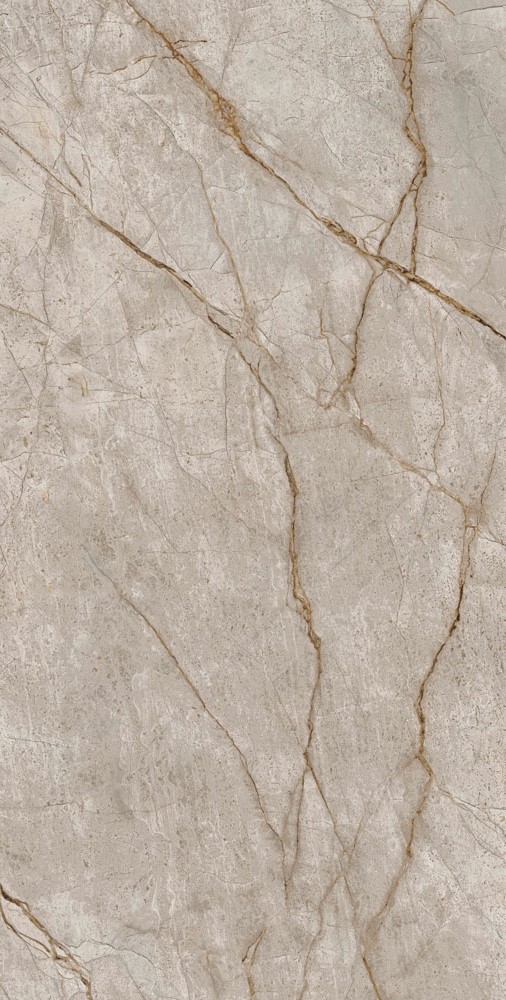 Silver Root Rett Lapp / Сильвер Рут Ретт Лапп Silver Root Rett Lapp / Сильвер Рут Ретт Лапп