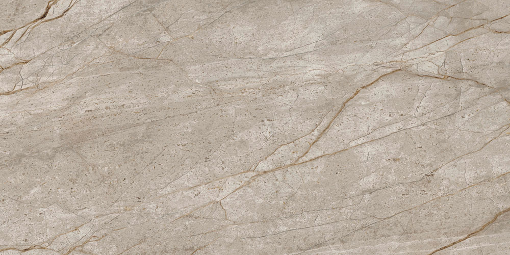 Silver Root Rett Lapp / Сильвер Рут Ретт Лапп Silver Root Rett Lapp / Сильвер Рут Ретт Лапп