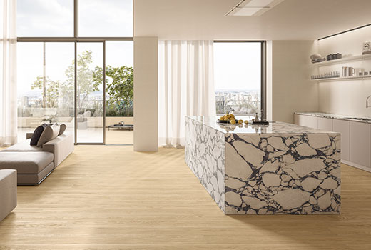 Atlas Concorde Log Select