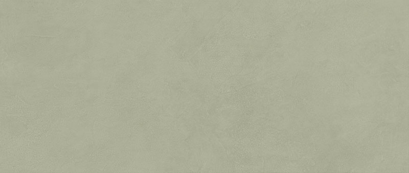 Boost Expression Olive Boost Expression Olive
