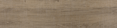ASCOT OLIVO ASCOT OLIVO