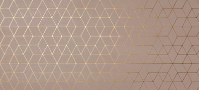 MEK ROSE HEXAGON MEK ROSE HEXAGON