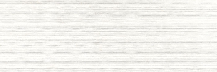 CENTURY WHITE CENTURY WHITE