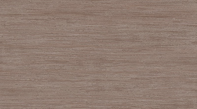 69571 CLIO BROWN 69571 CLIO BROWN