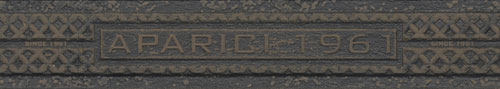 STEEL OXIDUM CF A STEEL OXIDUM CF A