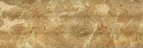 Timber Oak Cuadro Timber Oak Cuadro
