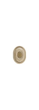T Vendome Cream T Vendome Cream
