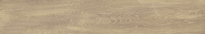 Tanzania Almond Tanzania Almond