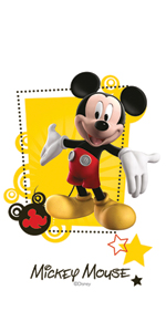 MICKEY FRIENDS R3060