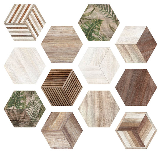 Africa Hexa Africa Hexa