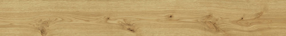 Exence Almond Exence Almond