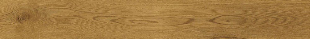 Exence Amber Grip Exence Amber Grip