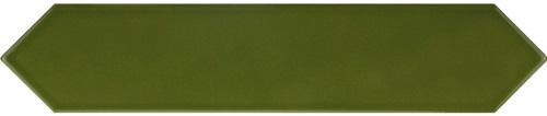 Arrow Green Kelp Arrow Green Kelp
