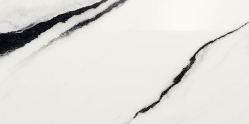 Panda White SQ Lapp Panda White SQ Lapp