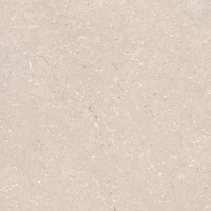 Coral Caliza L