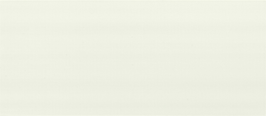 E_motion White