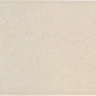 Fresco Vision
