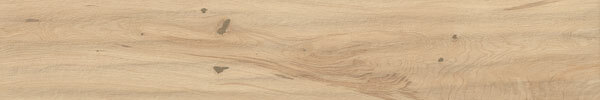 Log Bright Oak Forest