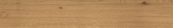 Log Amber Oak Forest