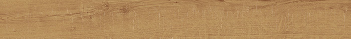 Chelsea Camel