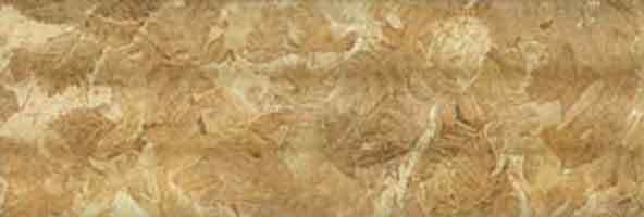 Timber Oak Cuadro